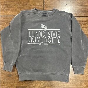 Comfort Colors Gray Crewneck Sweater